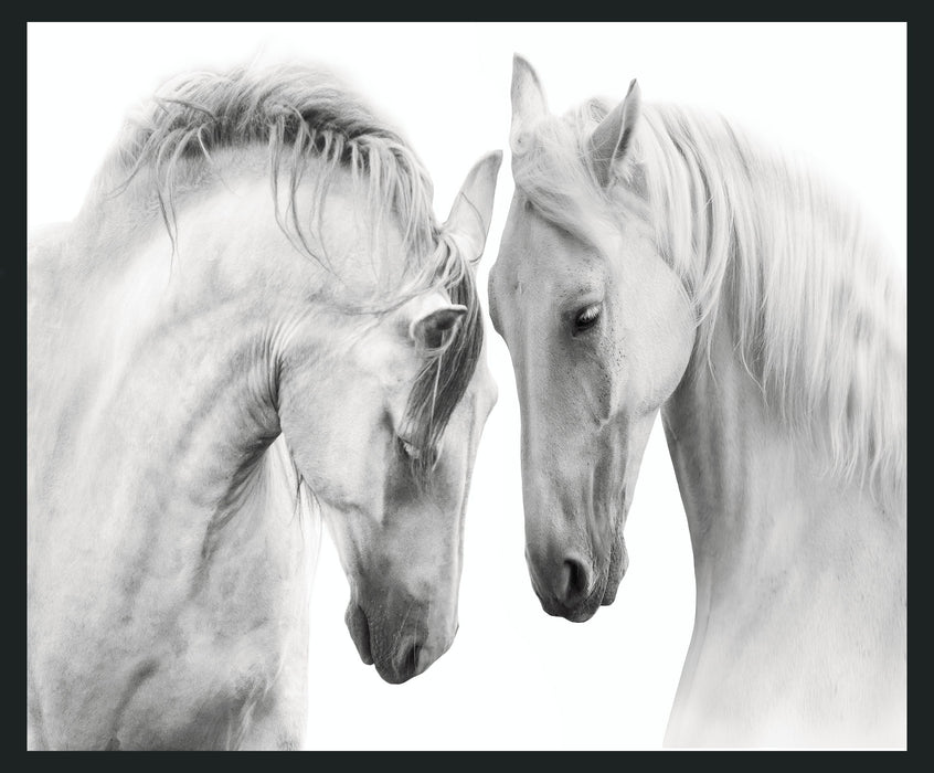 White - 48" x 72" Horses Photography - Gray